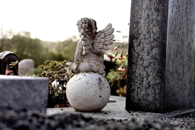 Prévoir Ses Obsèques : Les 5 Questions à Poser au Notaire